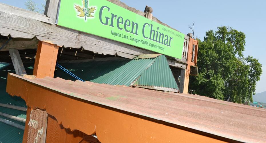 Hotel Green Chinar, Srinagar 1